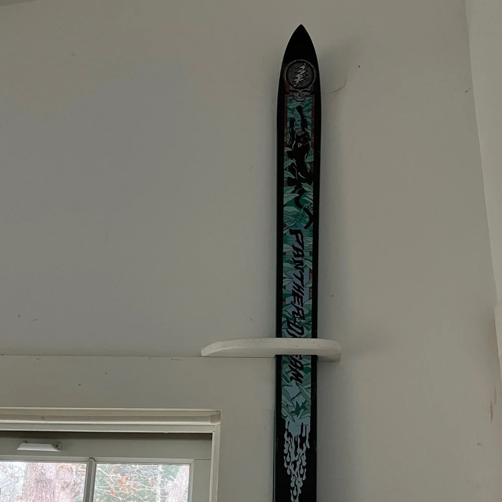Panther Dream Collectors Item pair of Limited Edition Skis
